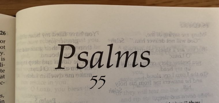 活潑的生命讀經進度 – 今日閱讀經文:《詩篇 55：1～15》